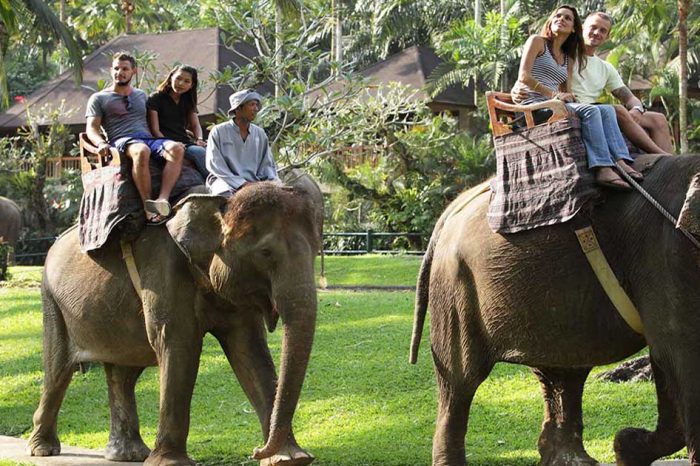Safari à dos d’éléphant-Tanah lot-Temple Royal-Maison Balinaise