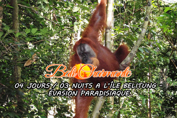 04 JOURS / 03 NUITS A L’ÎLE BELITUNG – ÉVASION PARADISIAQUE