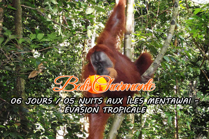 06 JOURS / 05 NUITS AUX ÎLES MENTAWAI – ÉVASION TROPICALE